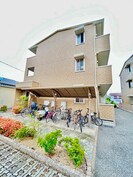 サウスメゾン秋桜の外観