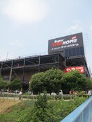 スーパービバホーム(電気量販店/ホームセンター)まで650m Lea･Lea九条５６番館