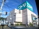 ニトリ(ショッピングセンター/アウトレットモール)まで229m ソルトバレイ