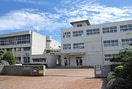 明石市立江井島小学校(小学校)まで650m 西江井ヶ島グリ－ンハイツ