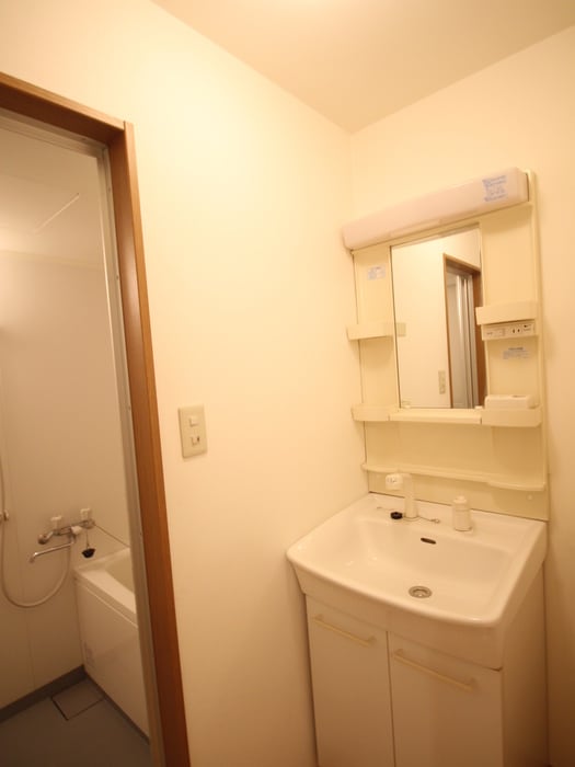 洗面 シャトル岩園