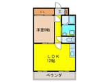 レインボ－コ－トパ－トⅡ