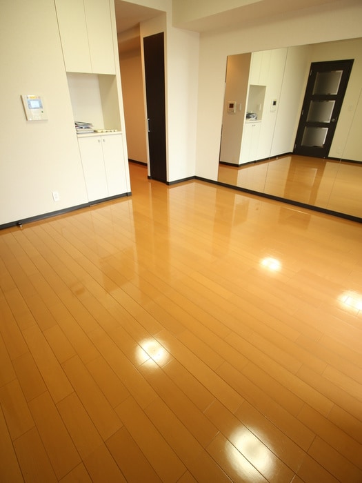 居室 ザ・梅田タワ－(2210)