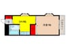 石井メディカルビル 1DKの間取り
