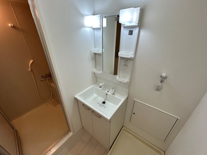 洗面 緑地公園ハウス(205)