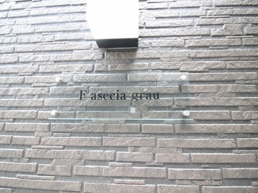 その他 F asecia grau