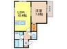 Casa Apu Kapi 1LDKの間取り