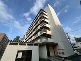 ﾛｰｽﾞﾊｲﾂ茨木