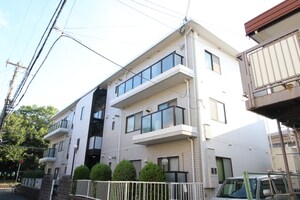 ボナールタツミ