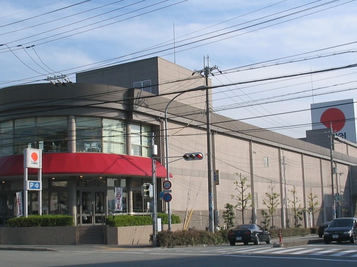 ダイエー(デパート)まで1100m ソレイユⅡ