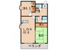 ベルヴィル浜甲子園（302） 2LDKの間取り