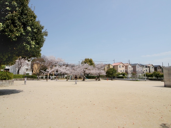 皿池公園（箕面市）(公園)まで1800m パセオ間谷