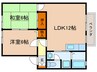 コンフォ－ルミキ 2LDKの間取り