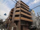 ハイパイル638の外観