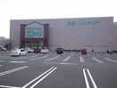 ニトリ(電気量販店/ホームセンター)まで700m エル・セレーノ御崎本町