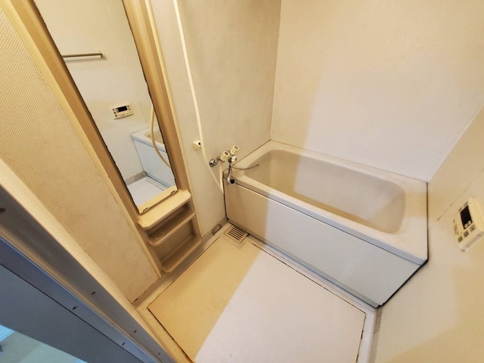 バス／シャワールーム等 ｲﾝﾍﾟﾘｱﾙﾊﾟﾚｽ ﾘﾊﾞ-ｻｲﾄﾞ