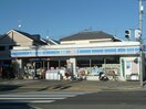 ローソン(コンビニ)まで285m オクノプレイス