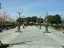 上が池公園(公園)まで695m オクノプレイス