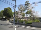 清水公園(公園)まで270m セジュ－ル雅