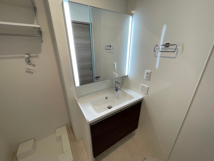 洗面 シュライクコート