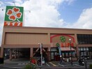 ライフ寺方店(スーパー)まで310m ﾚｰﾍﾞﾝ・ﾊｲﾑ