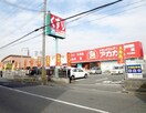 アカカベ守口寺方店(ドラッグストア)まで183m ﾚｰﾍﾞﾝ・ﾊｲﾑ