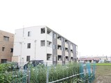 コ－ト向田