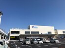 マンダイ(スーパー)まで500m フジパレス南清水町Ⅰ番館
