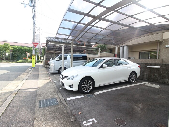 駐車場 コンチネンタルオオサギ