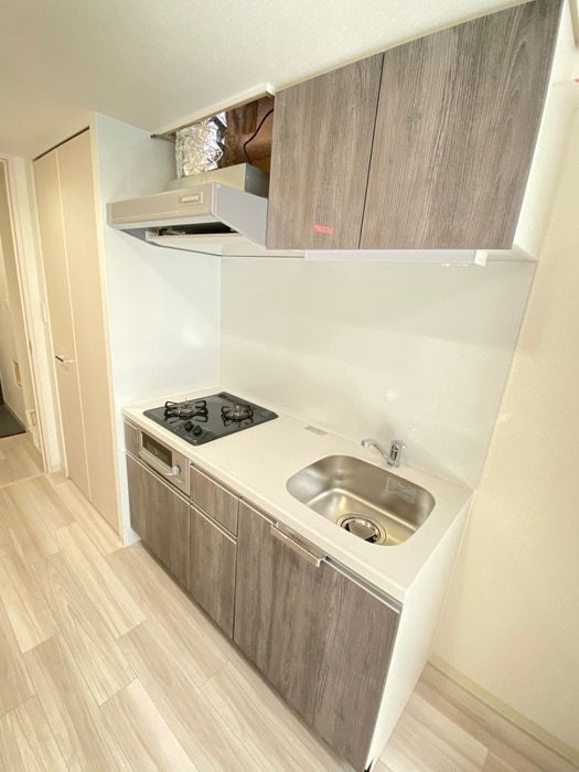 キッチン ﾌﾟﾚｻﾝｽTHE　KYOTO吉祥院（302）