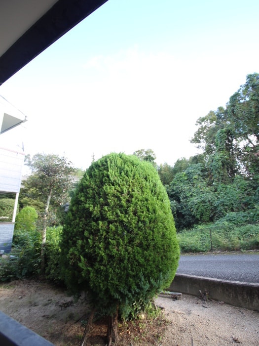 室内からの展望 ルミエ－ル山下