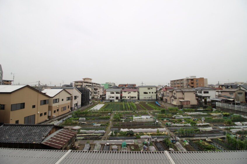 室内からの展望 セリ－ゼウエスト