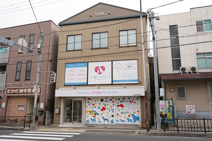 こころ鳳ペットクリニック(病院)まで450m イリスコート鳳東町