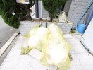 建物設備 コーポ松屋