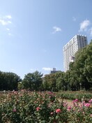 うつぼ公園(公園)まで256m イデア淀屋橋ビル