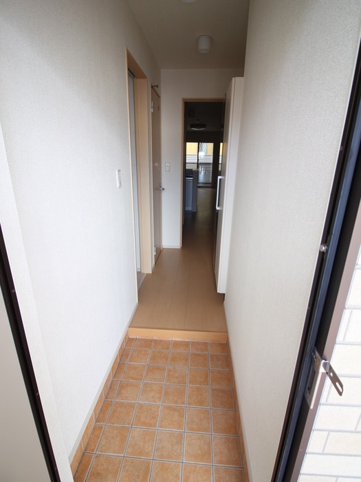 玄関 パイン・ツリー