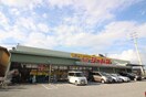 ジャパン(ドラッグストア)まで786m ルミナーレ