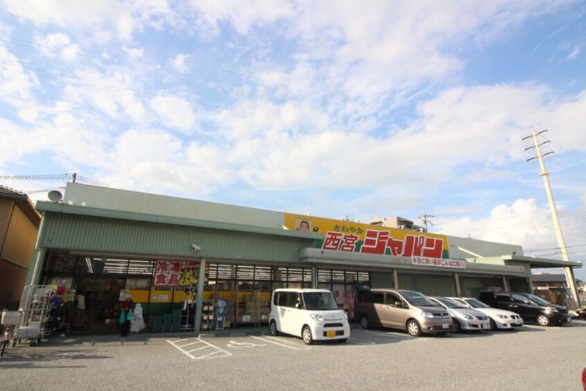 ジャパン(ドラッグストア)まで786m ルミナーレ