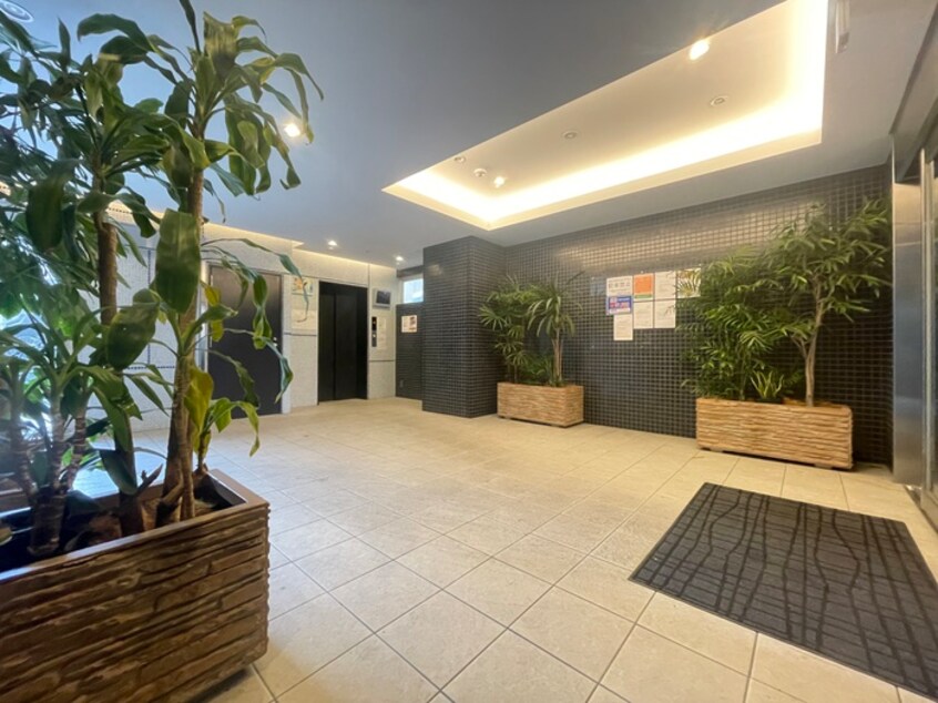 エントランス部分 レクシア平野ディオ