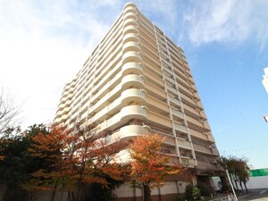 ﾗｲｵﾝｽﾞﾏﾝｼｮﾝ中津（504）