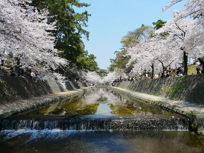 夙川(公園)まで270m 夙川アネックス