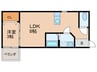 ドエル小花 1LDKの間取り
