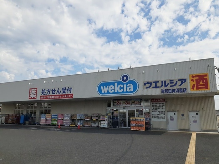 ウエルシア(ドラッグストア)まで498m グラン　ジェルメ