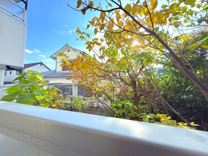 室内からの展望 サンドール山口