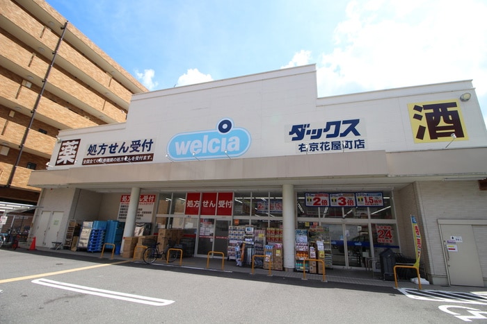 ダックス(ドラッグストア)まで200m フェルミエ川政Ⅰ