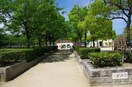 椀田公園(公園)まで120m トワ塚口