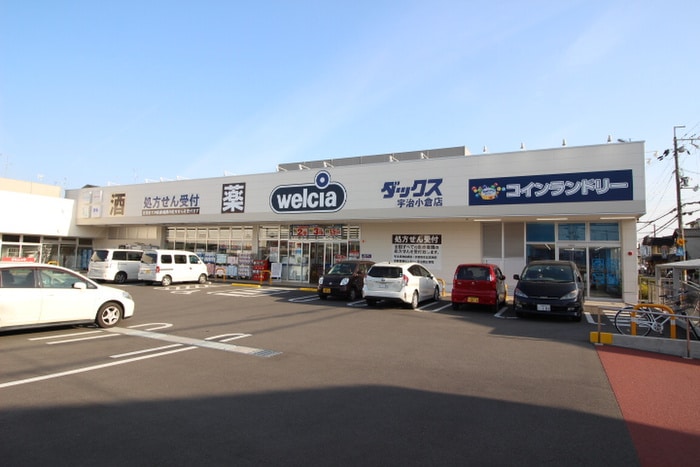 ダックス(ドラッグストア)まで755m ヒルサイド南陵