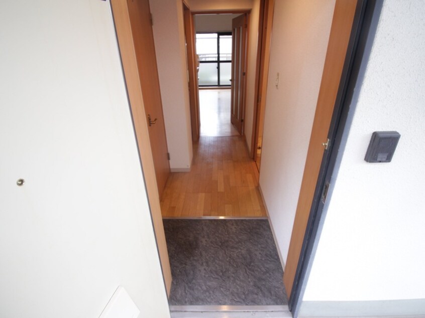 廊下 ラフィ－ネ桂Ⅱ