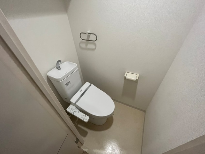 トイレ ブライジング