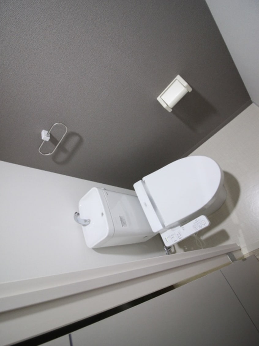 トイレ ブライジング